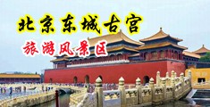 把大鸡巴插入小逼视频中国北京-东城古宫旅游风景区